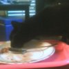 2007-08-04 Ilou aime les lentilles_l.jpg